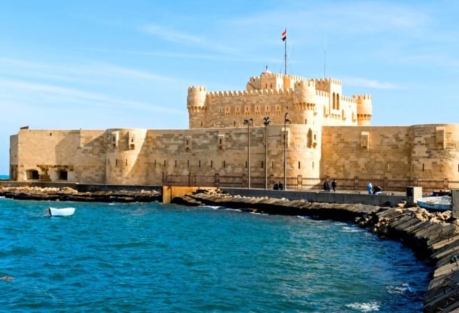Alexandria x