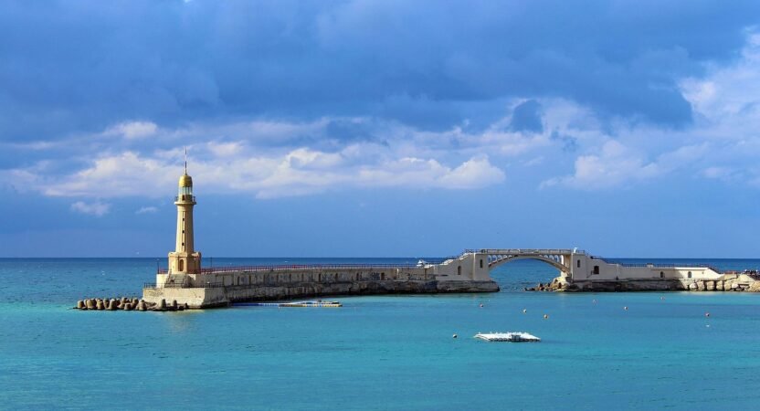Alexandria x