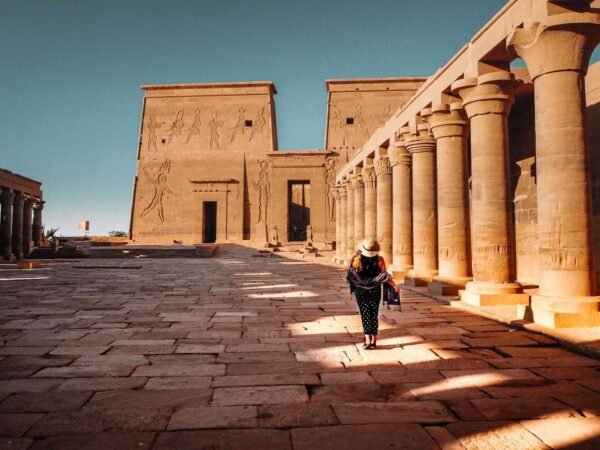 Aswan x
