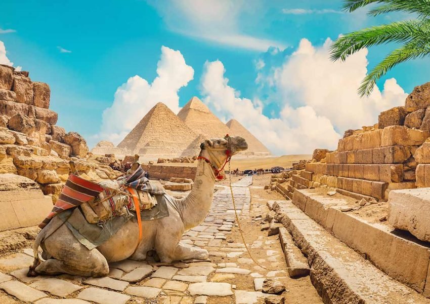 Cairo x