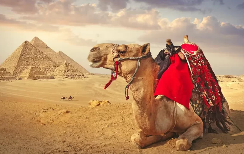 Full day tour to Cairo from Aswan by flight