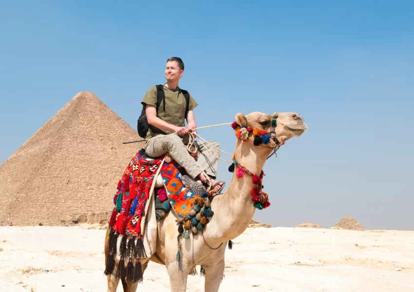 Camel Ride Trip at the Pyramids