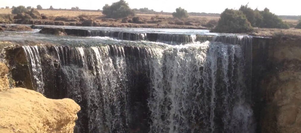 Day Tour to El Fayoum x