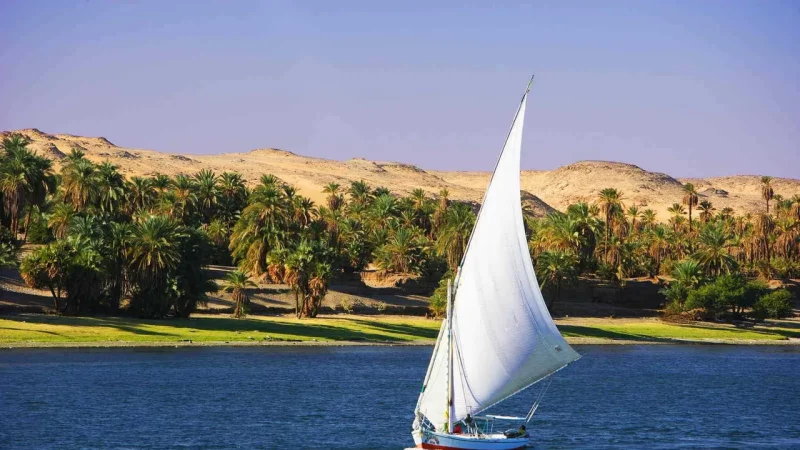 Felucca Ride on the Nile x