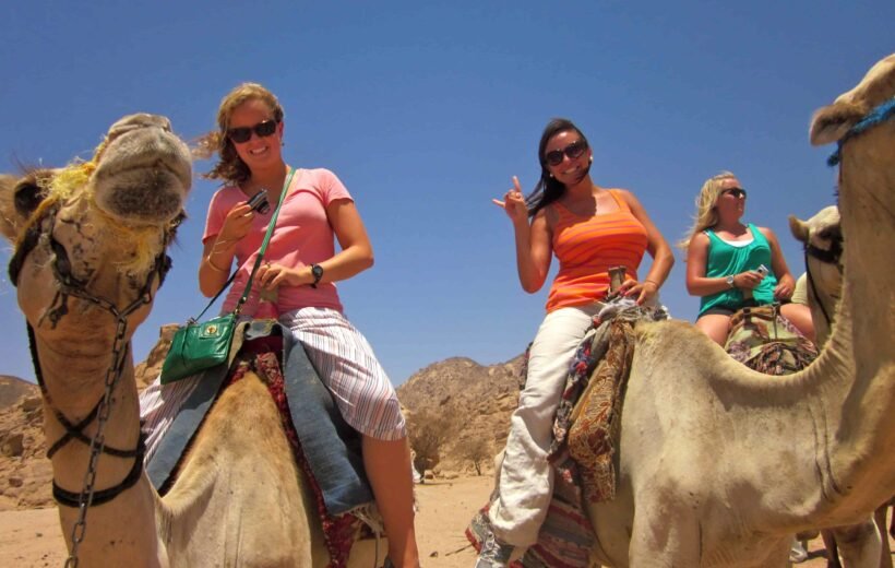 Luxor Camel Ride