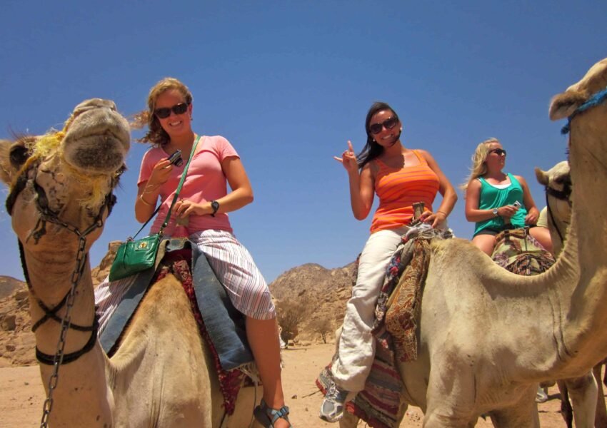 Luxor Camel Ride x