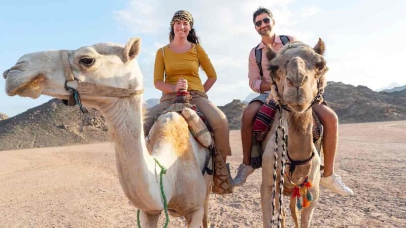 Luxor Camel Ride x