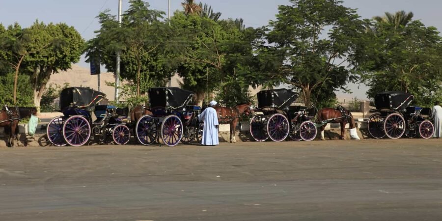 Luxor City tour by Horse Carriage x