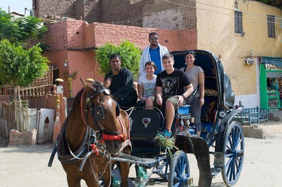 Luxor City tour by Horse Carriage