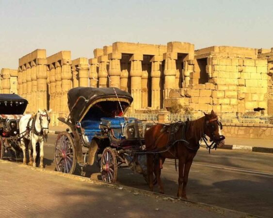 Luxor City tour by Horse Carriage x