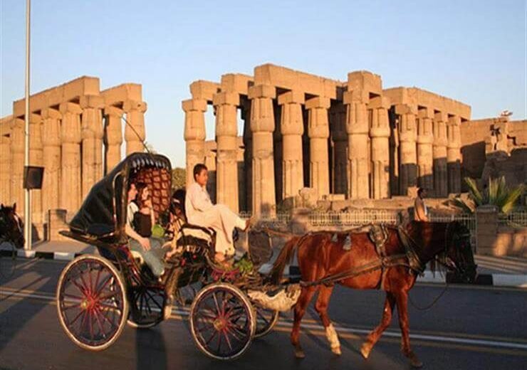 Luxor City tour by Horse Carriage