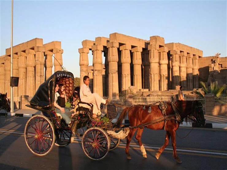 Luxor City tour by Horse Carriage