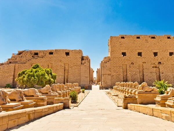Luxor x