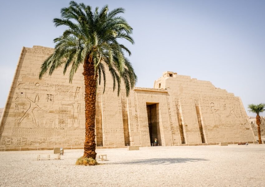 Luxor x