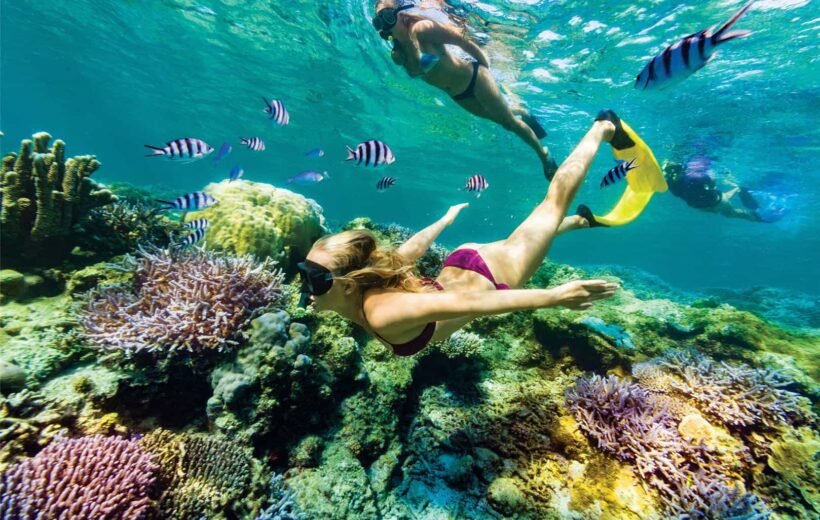 Snorkeling Trip At Port Ghalib Marina from Marsa Alam