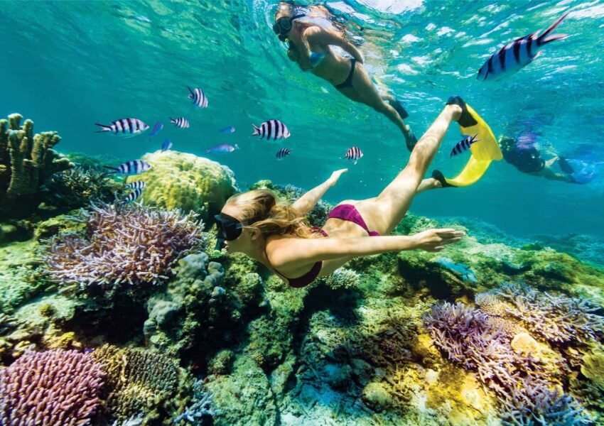 Snorkeling x
