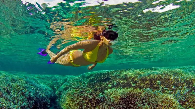 Snorkeling in Mahmya Island Trip
