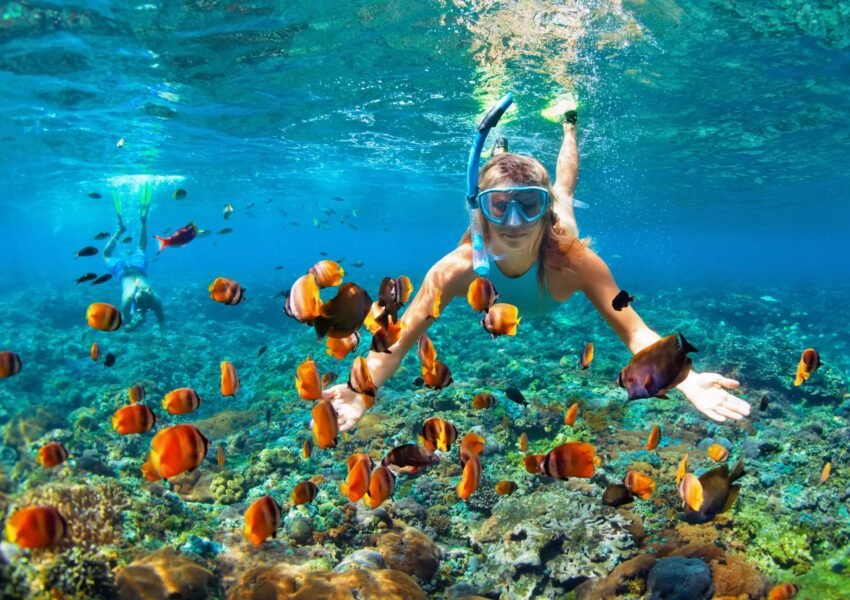 Mahmya Island Trip