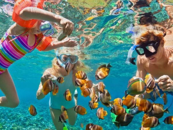 Snorkeling x