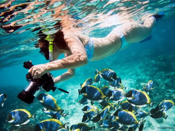 Snorkeling x