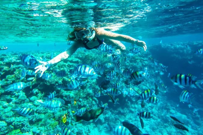 Snorkeling x