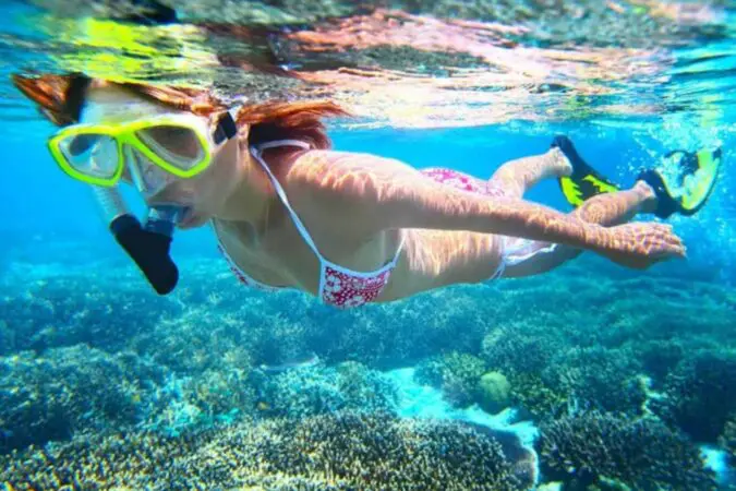 Snorkeling x