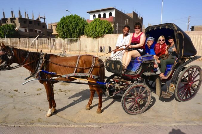 Aswan City Tour in Horse Carriage x