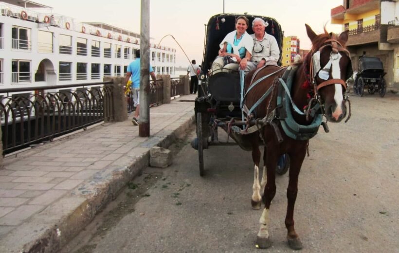 Aswan City Tour in Horse Carriage