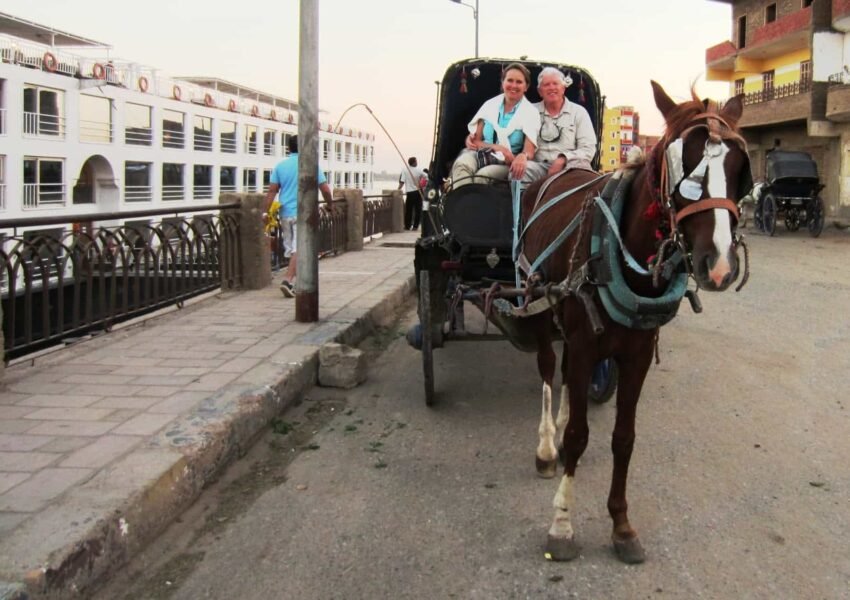 Aswan City Tour in Horse Carriage