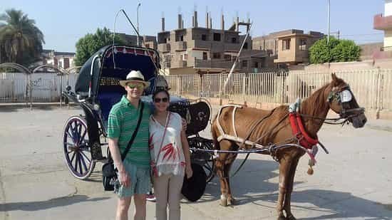 Aswan City Tour in Horse Carriage