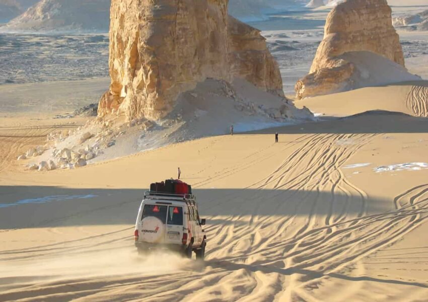 Bahariya Oasis x