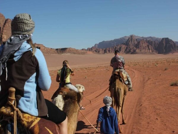 Bedouin Safari x