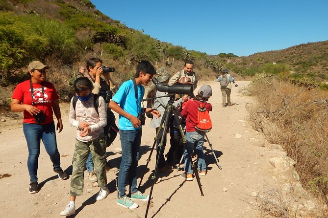 Bird Watching Tour in Aswan