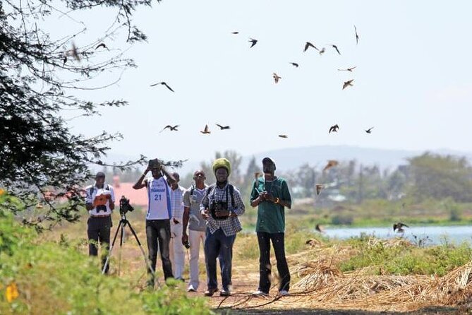 Bird Watching Tour in Aswan