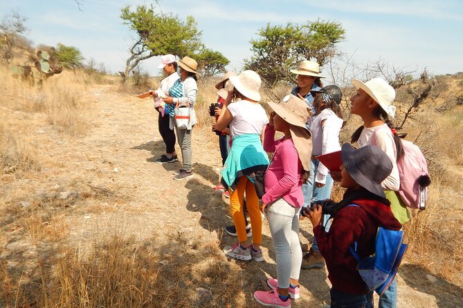 Bird Watching Tour in Aswan
