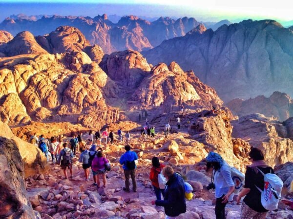 Mount Sinai x