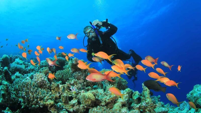 Scuba diving Sharm El Sheikh x