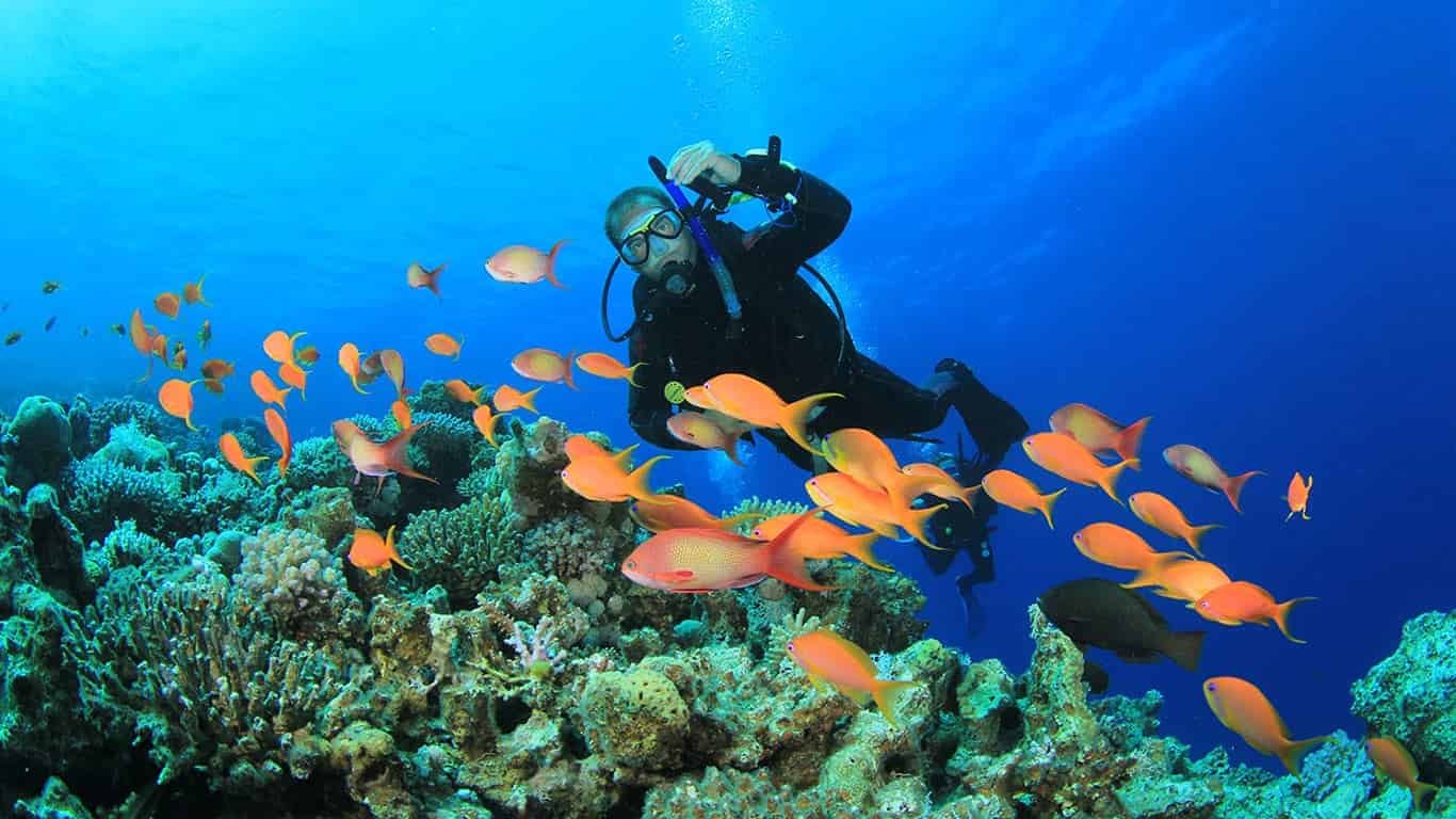 Scuba diving Sharm El Sheikh