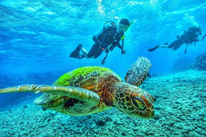 Scuba diving Sharm El Sheikh x