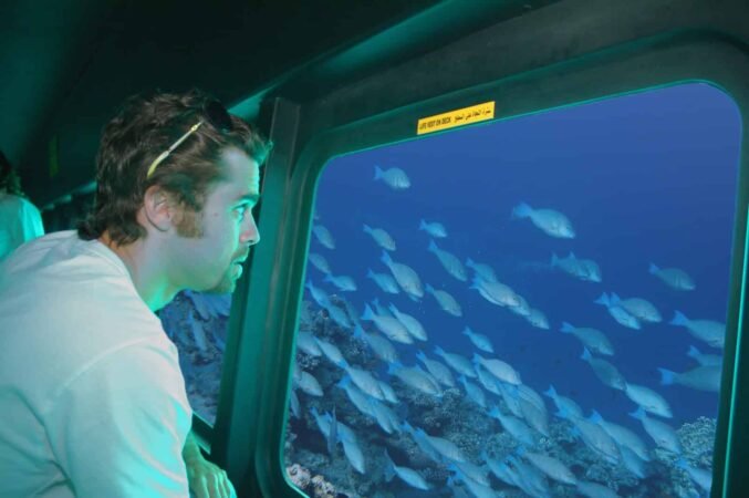 Semi Submarine Trip x