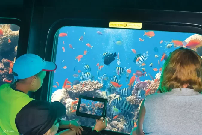 Semi Submarine Trip x