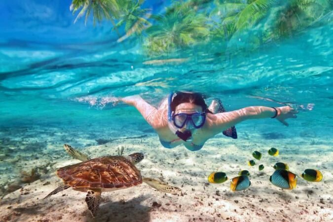 Snorkeling by Boat to Ras Mohamed x