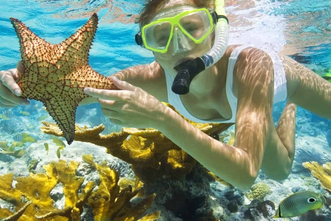Snorkeling by Boat to Ras Mohamed