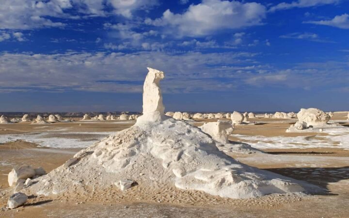 White Desert x