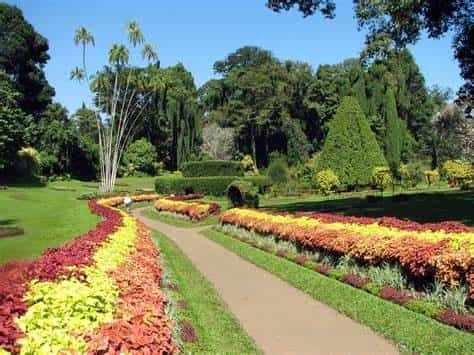 Private day tour to The Botanic Gardens and Botanical Museum