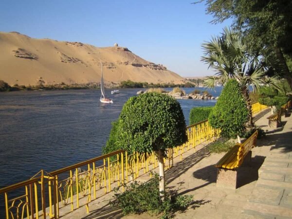 aswan The Botanic Gardens and Botanical Museum x