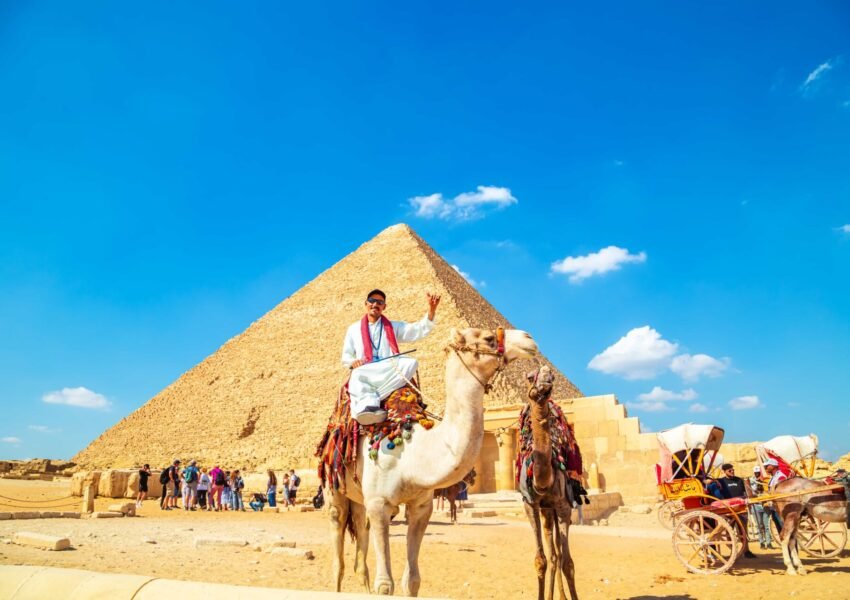 camel driver near great pyramids egypt x
