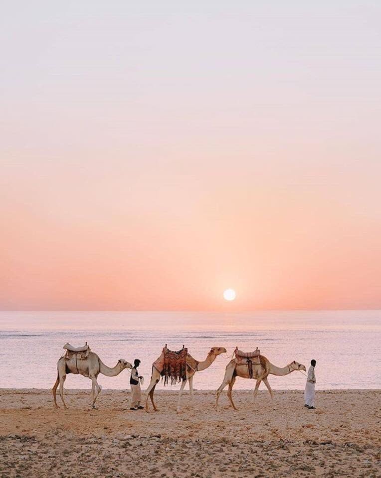 Marsa Alam