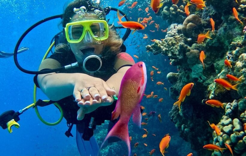 The Best of Egypt Packages & Sharm el Sheikh