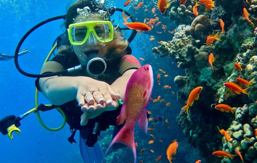 The Best of Egypt Packages & Sharm el Sheikh